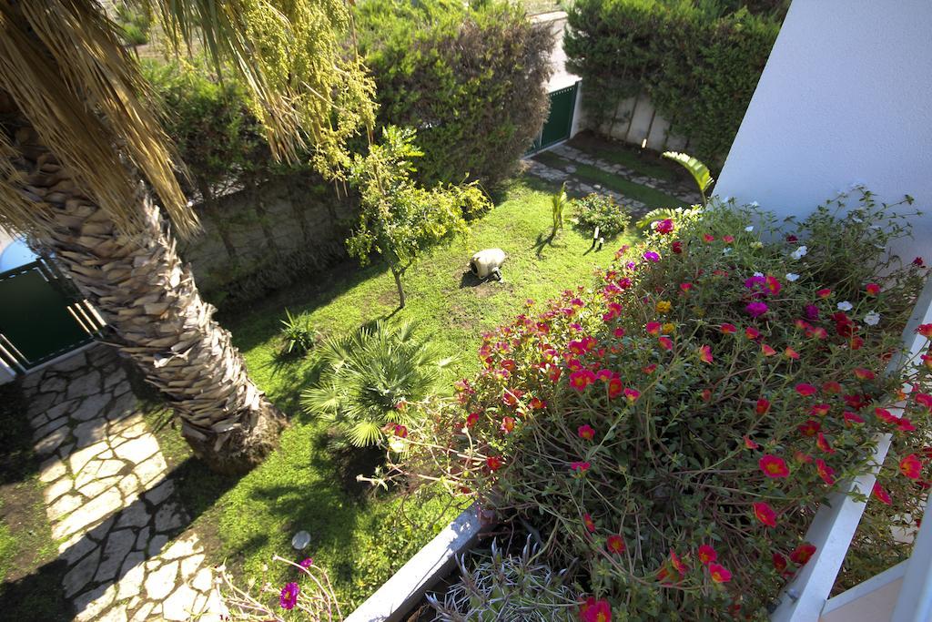 B&B Villa Genny A Pochi Passi Dal Mare ซานกาตัลโด ห้อง รูปภาพ