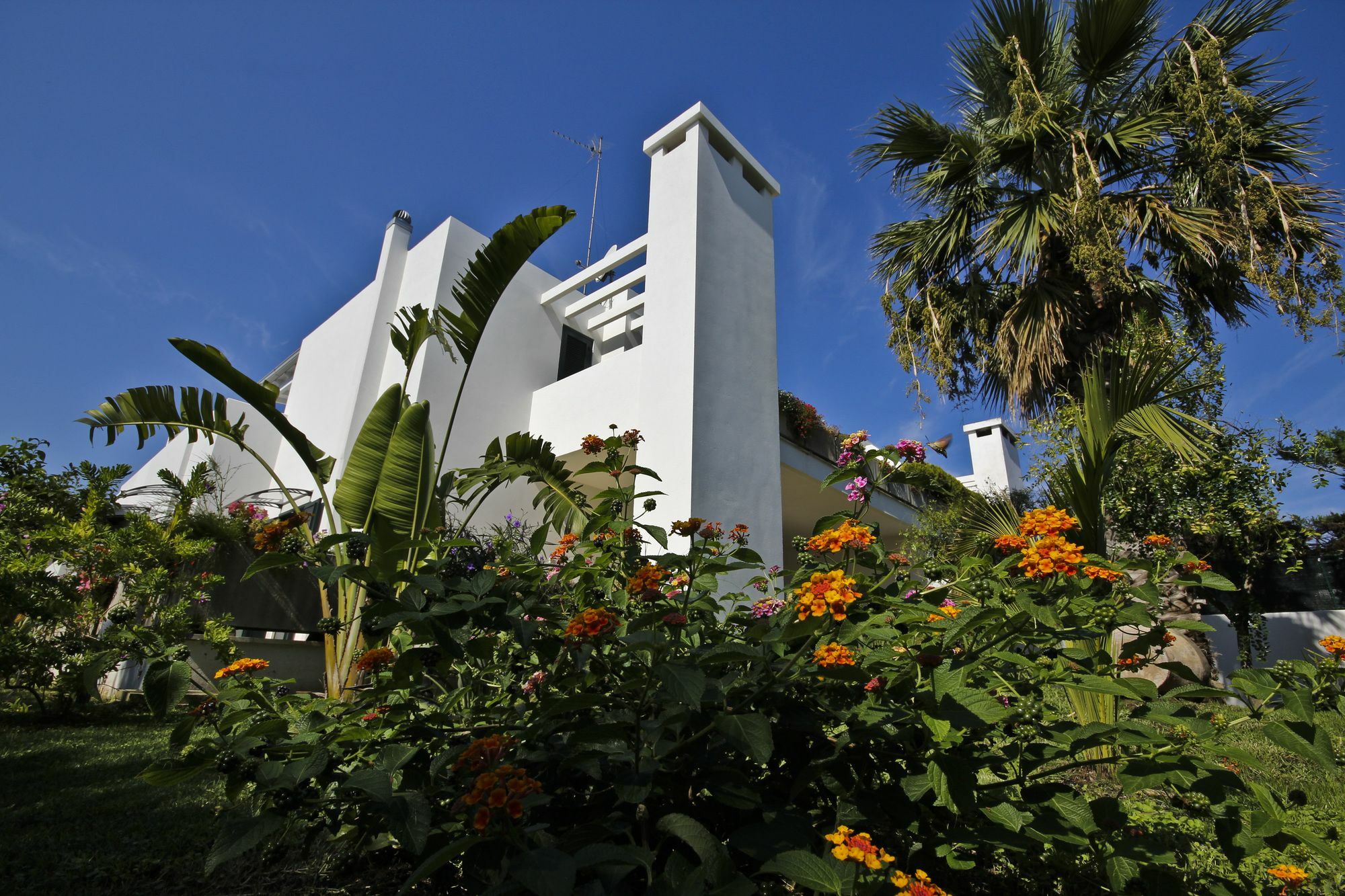 B&B Villa Genny A Pochi Passi Dal Mare ซานกาตัลโด ภายนอก รูปภาพ